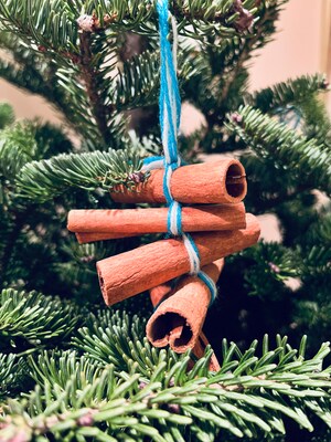 Eco-Friendly Holiday Ornament with Cinnamon Sticks - image3